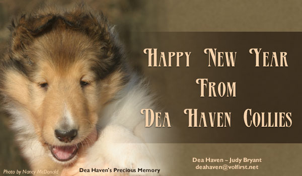 Dea Haven -- Dea Haven's Precious Memory