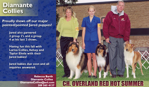 Diamante Collies -- Ch. Overland Red Hot Summer