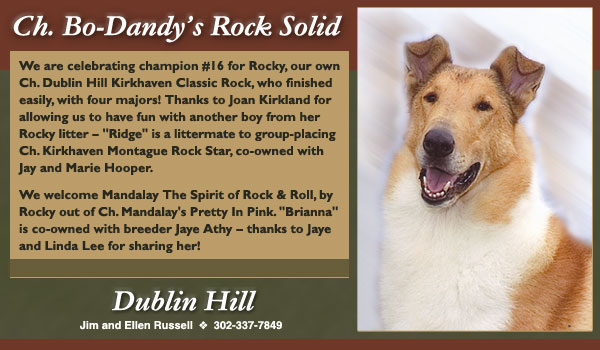 Dublin Hill -- Ch. Bo-Dandy's Rock Solid