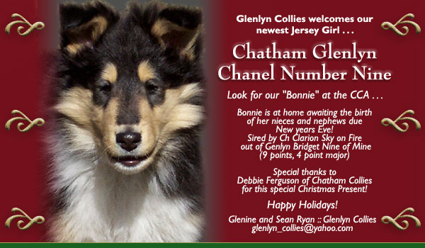 Glenlyn Collies -- Chatham Glenlyn Chanel Number Nine