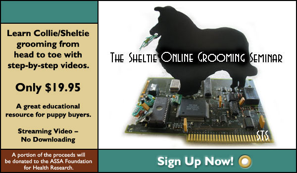 The Sheltie Online Grooming Seminar