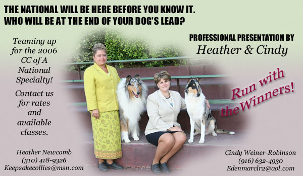 Professional Presentation by Heather and Cindy