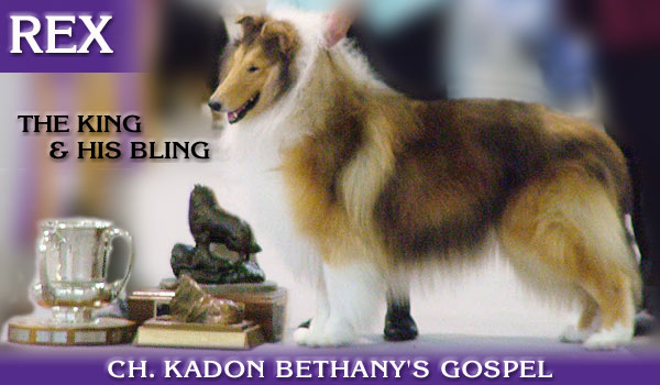 Bethany/Incandescent/Kadon -- Ch. Kadon Bethany's Gospel