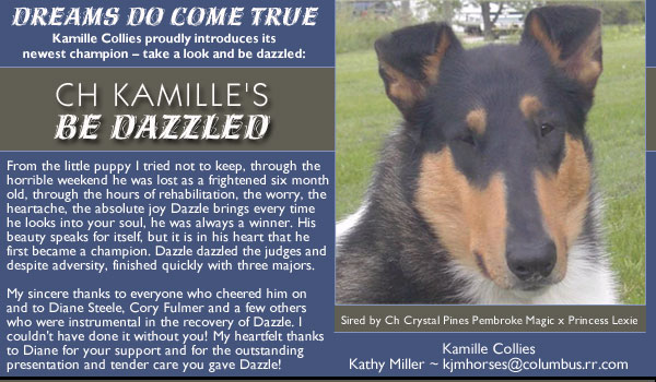 Kamille -- CH Kamille's Be Dazzled