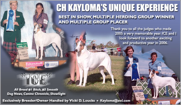 Ch. Kayloma's Unique Experience