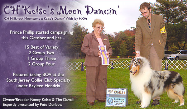 Kelso -- CH Kelso's Moon Dancin'