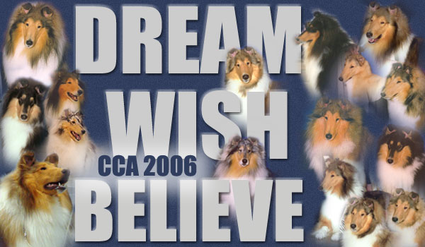 Dream Wish Believe CCA 2006
