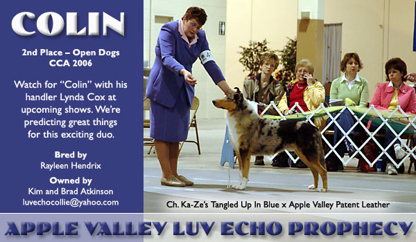 Luv Echo -- Apple Valley Luv Echo Prophecy