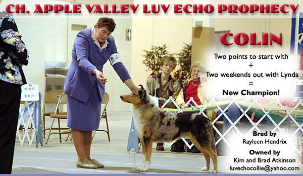 Luv Echo -- Ch. Apple Valley Luv Echo Prophecy