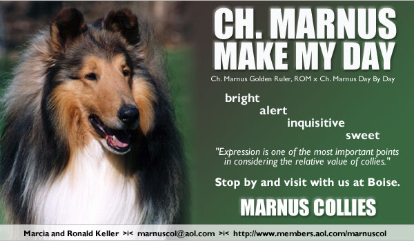Marnus -- Ch. Marnus Make My Day