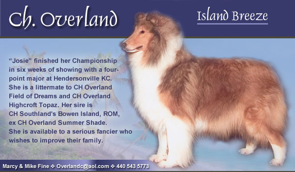 Ch. Overland Island Breeze