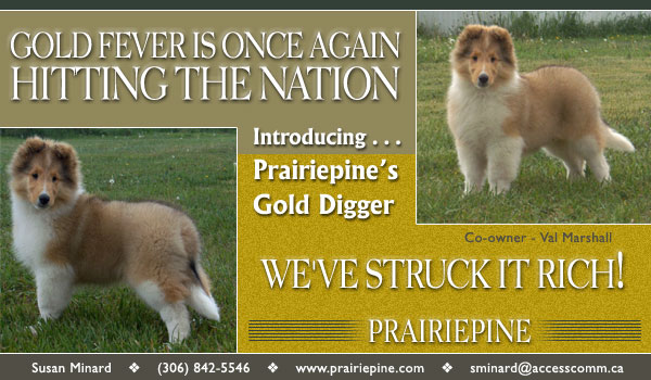 PrairiePine -- Prairiepine's Gold Digger
