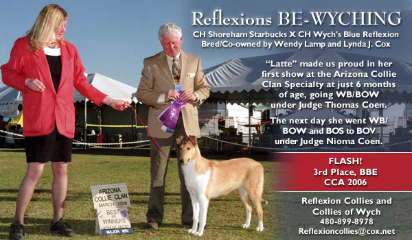 Reflexion Collies and Collies of Wych -- Reflexions BE-WYCHING