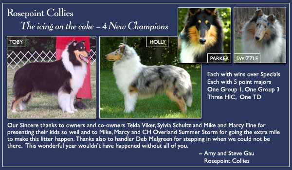 Rosepoint Collies