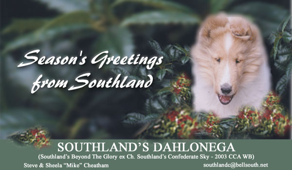 Southland -- Southland's Dahlonega