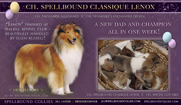 Ch. Spellbound Classique Lenox