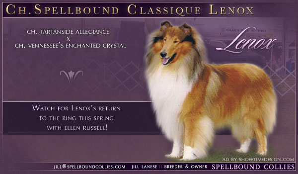 Spellbound -- Ch. Spellbound Classique Lenox