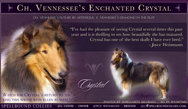 Spellbound -- Ch. Vennessee's Enchanted Crystal
