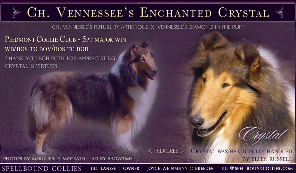 Ch. Vennessee's Enchanted Crystal