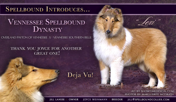Vennessee Spellbound Dynasty