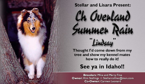 Stellar and Lisara -- Ch. Overland Summer Rain