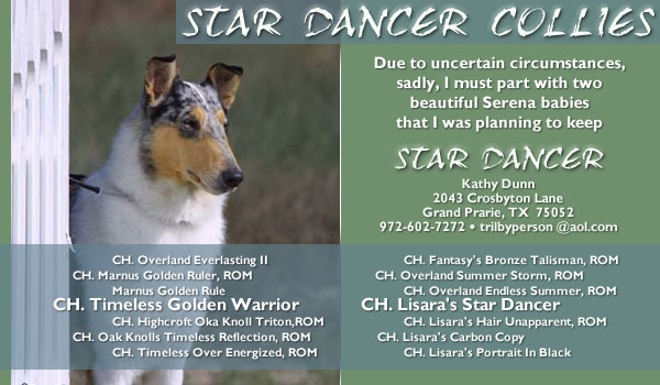 Star Dancer -- Ch. Lisara's Star Dancer
