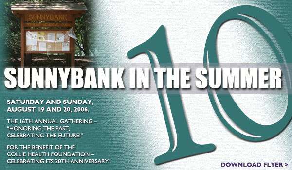Sunnybank in the Summer 10