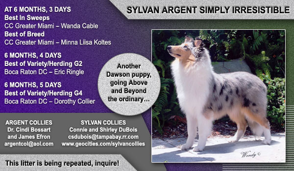 Argent/Sylvan -- Sylvan Argent Simply Irresistible