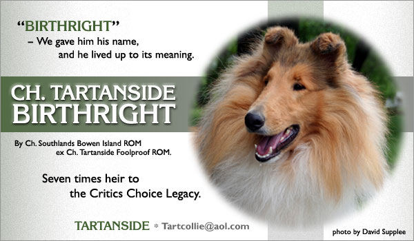 Tartanside -- Ch. Tartanside Birthright