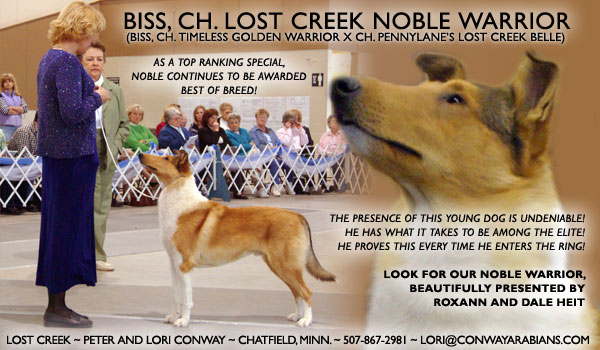 Lost Creek -- Ch. Lost Creek Noble Warrior