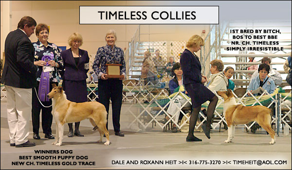 Timeless Collies