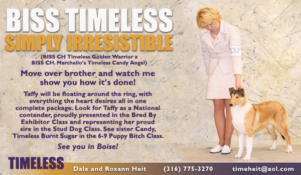Timeless Simply Irresistible
