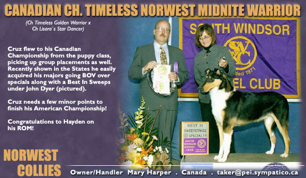 Norwest Collies -- CAN CH Timeless Norwest Midnite Warrior