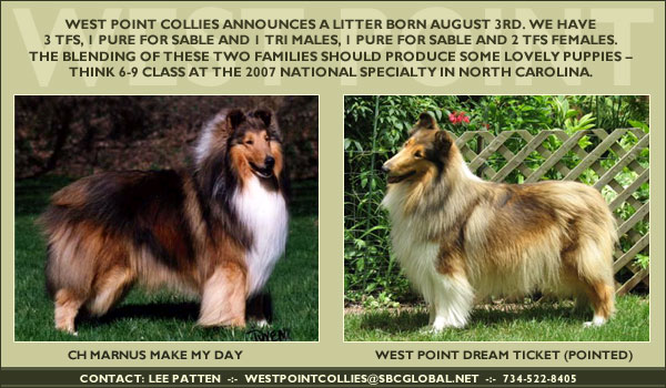 West Point Collies