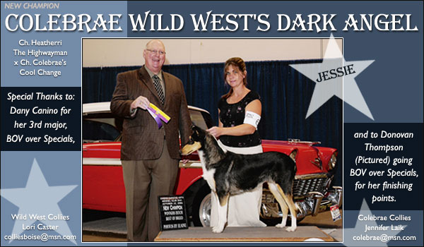 Wild West and Colebrae Collies -- CH Colebrae Wild West's Dark Angel
