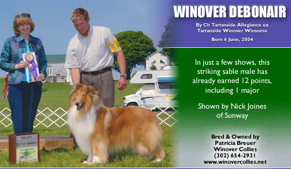 Winover -- Winover Debonair