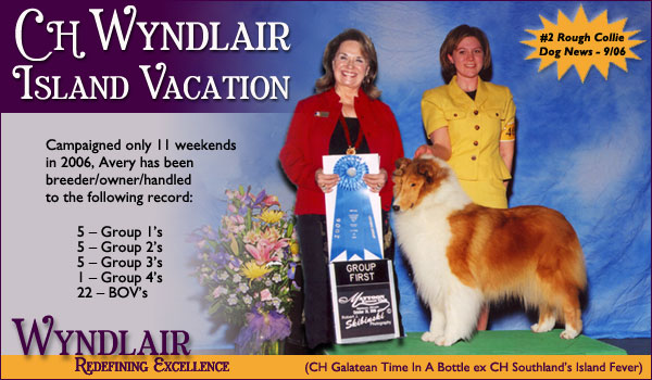 Wyndlair Collies -- CH Wyndlair Island Vacation