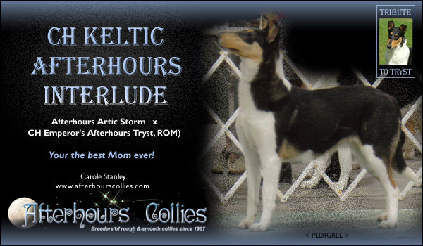 Afterhours -- CH Keltic Afterhours Interlude
