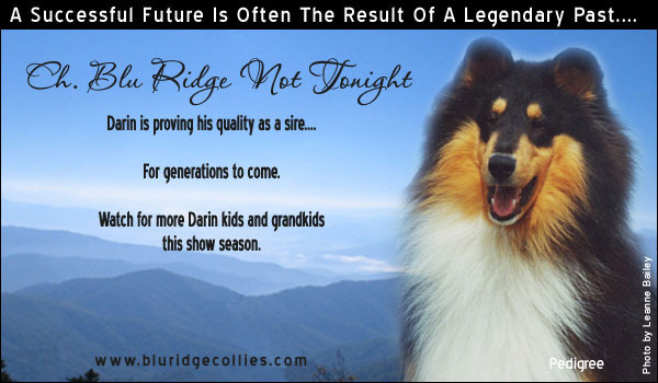 Blu Ridge -- CH Blu Ridge Not Tonight