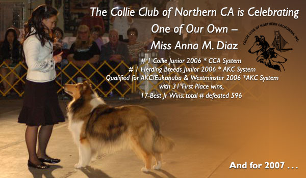 Collie Club of Northern California