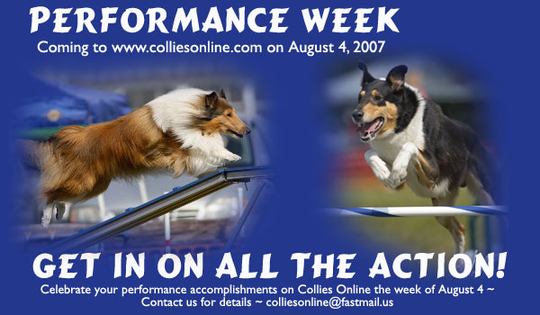 Collies Online -- Performance Week August 4, 2007