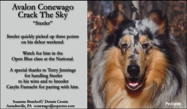 Conewago -- Avalon Conewago Crack The Sky