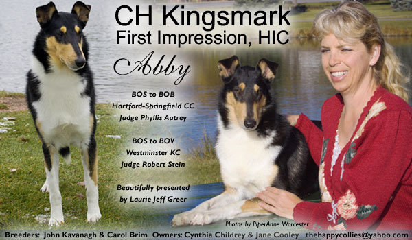 CH Kingsmark First Impression, HIC