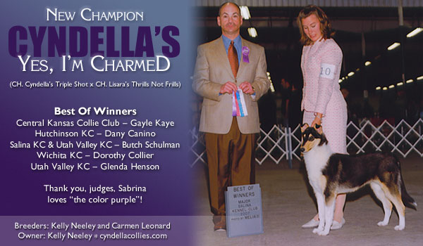 Cyndella -- CH Cyndella's Yes, I'm Charmed
