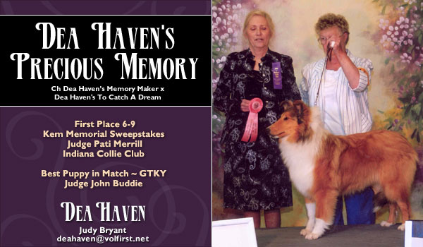 Dea Haven -- Dea haven's Precious Memory