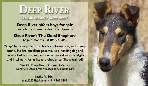Deep River's The Good Shepherd