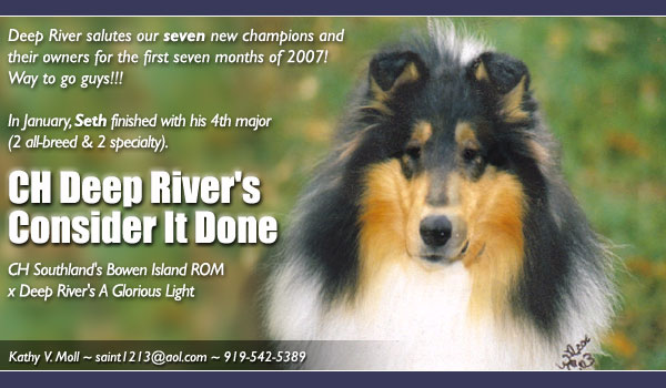 Deep River Collies -- Ch Deep River's Consider It Done