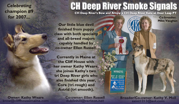 Deep River Collies -- CH Deep River Smoke Signals