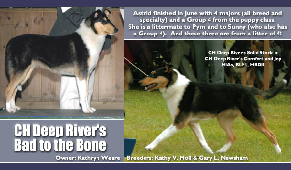 Ch Deep River's Bad To The Bone