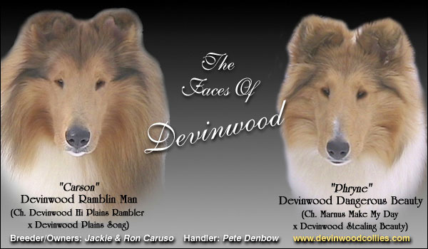 Devinwood -- Devinwood Ramblin Man and Devinwood Dangerous Beauty